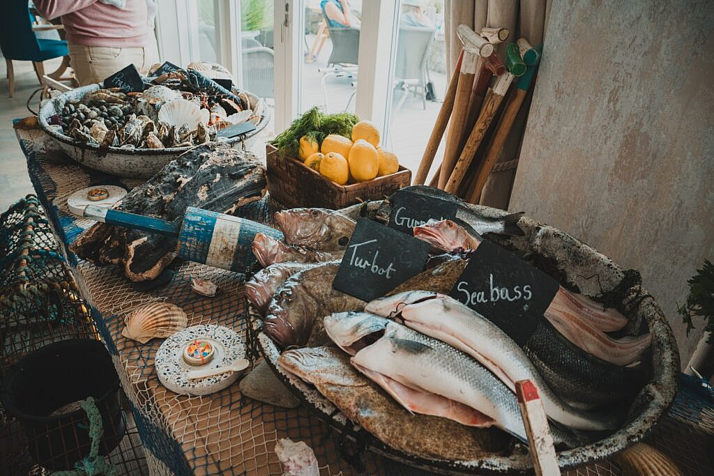 Live Fish Counter Rose on the Rocks