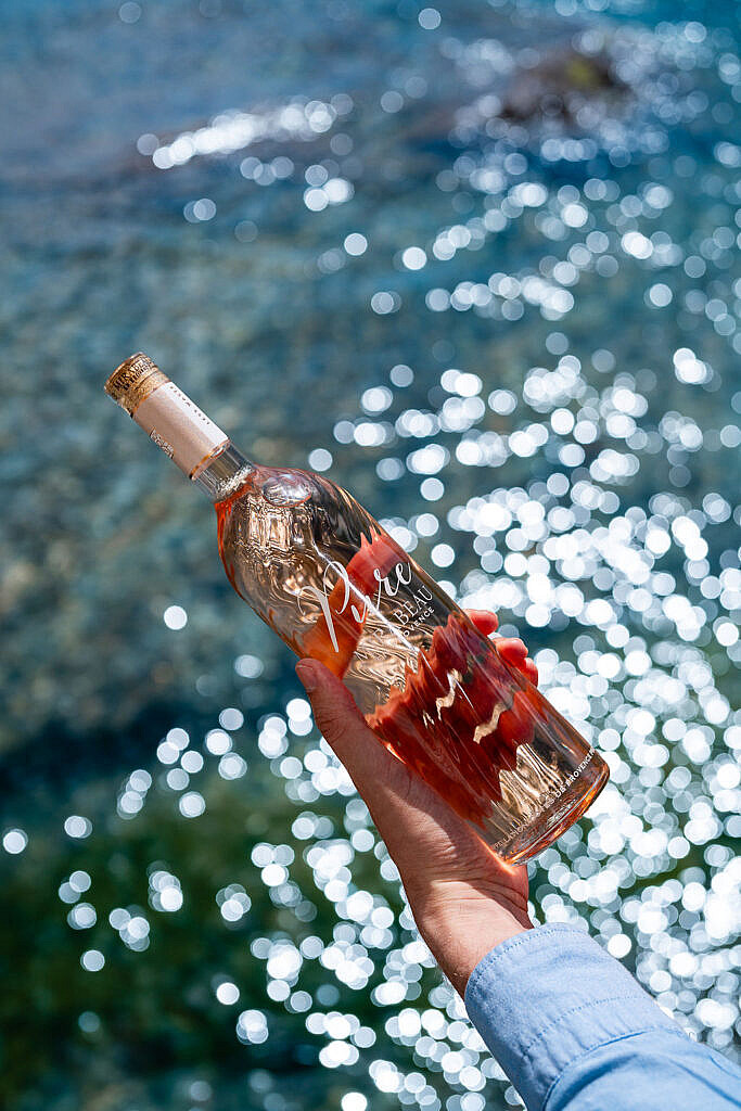 Rose On The Rocks